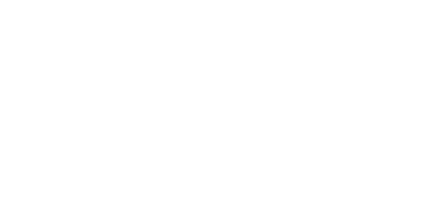 Estructura Capital
